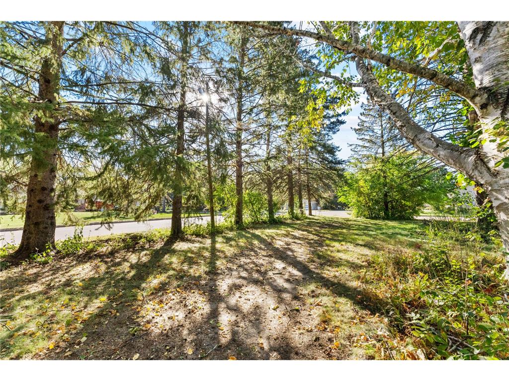 1650 89th Avenue N Brooklyn Park MN 55444 7013720 image11