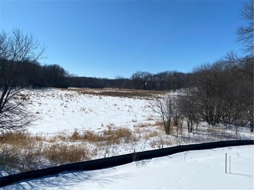 1650 Orchard Creek Trail Orono MN 55356 6350815 image1