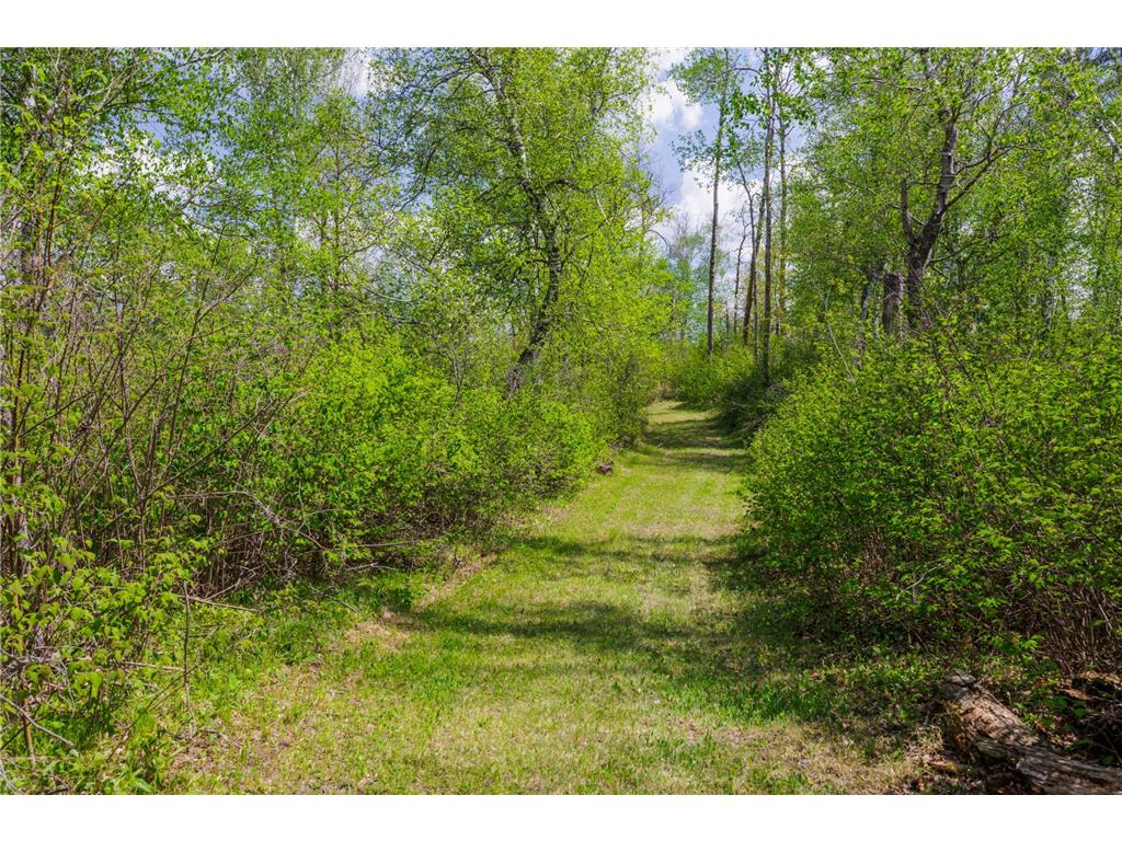 16504 280th Street Park Rapids MN 56470 - SKUNK 7065091 image14