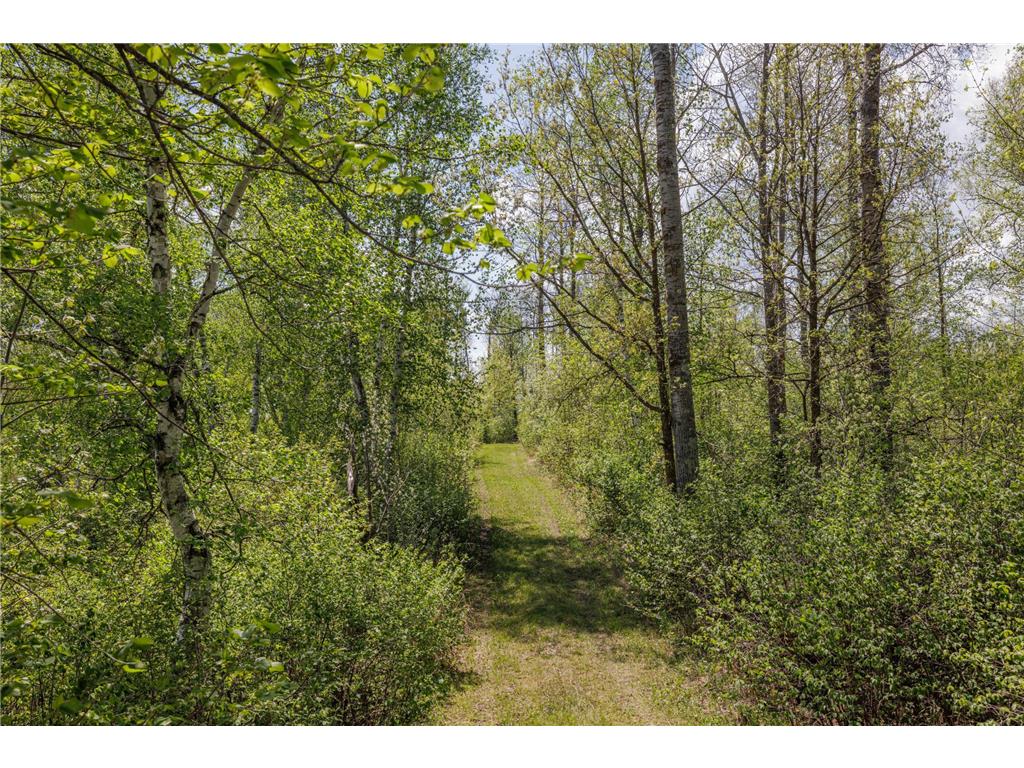 16504 280th Street Park Rapids MN 56470 - SKUNK 7065091 image15
