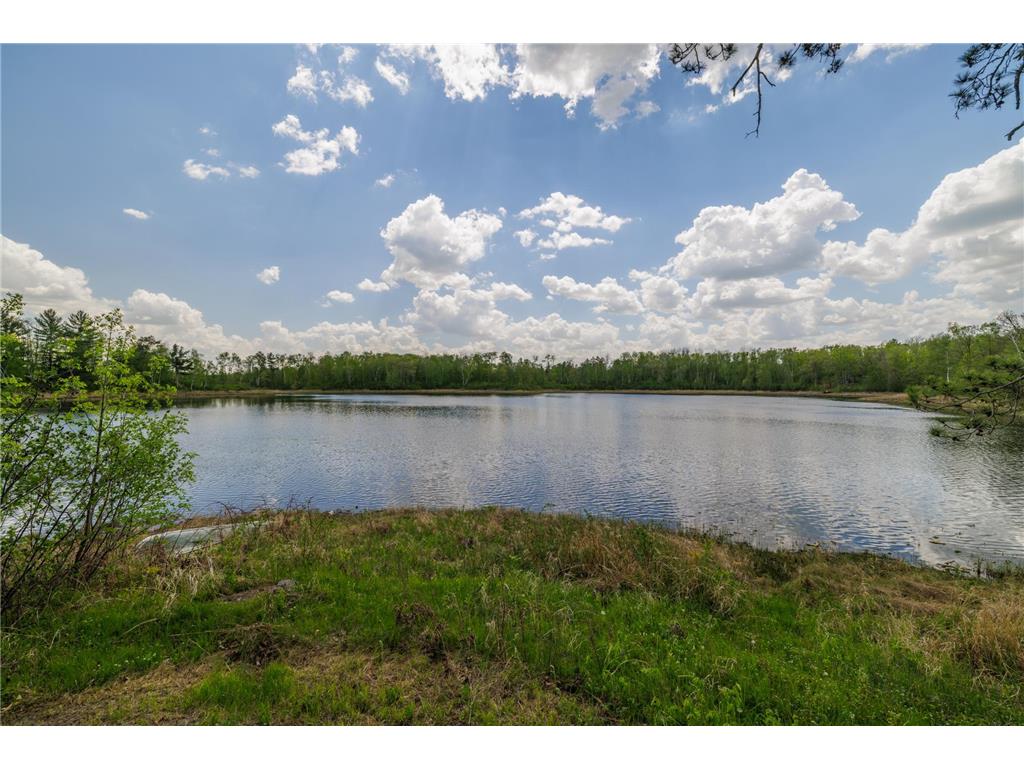 16504 280th Street Park Rapids MN 56470 - SKUNK 7065091 image17