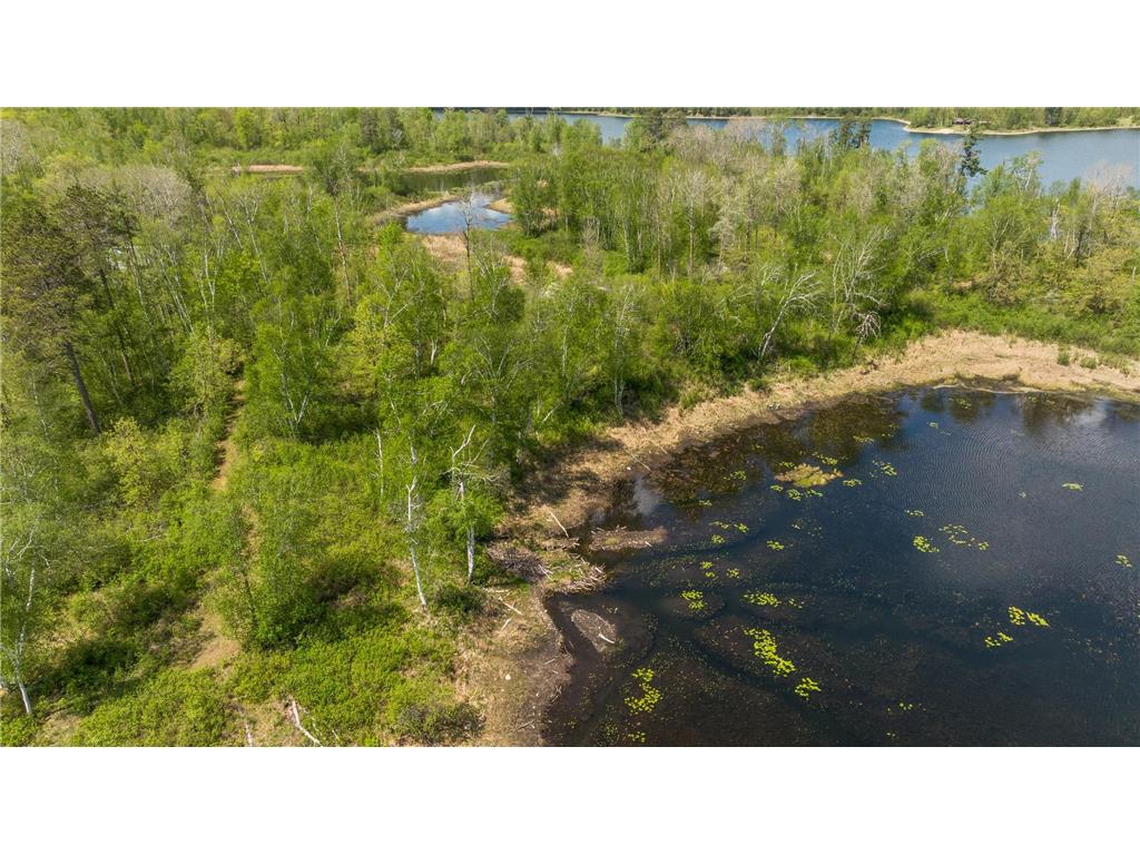 16504 280th Street Park Rapids MN 56470 - SKUNK 7065091 image34