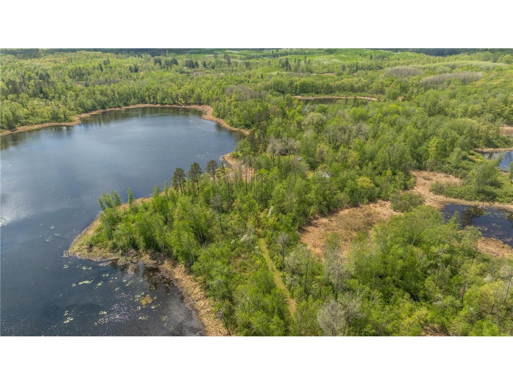 16504 280th Street Park Rapids MN 56470 - SKUNK 7065091 image36