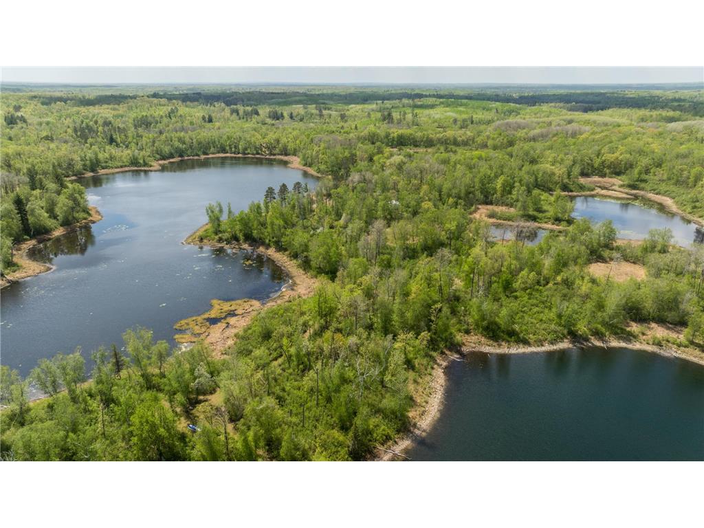 16504 280th Street Park Rapids MN 56470 - SKUNK 7065091 image37