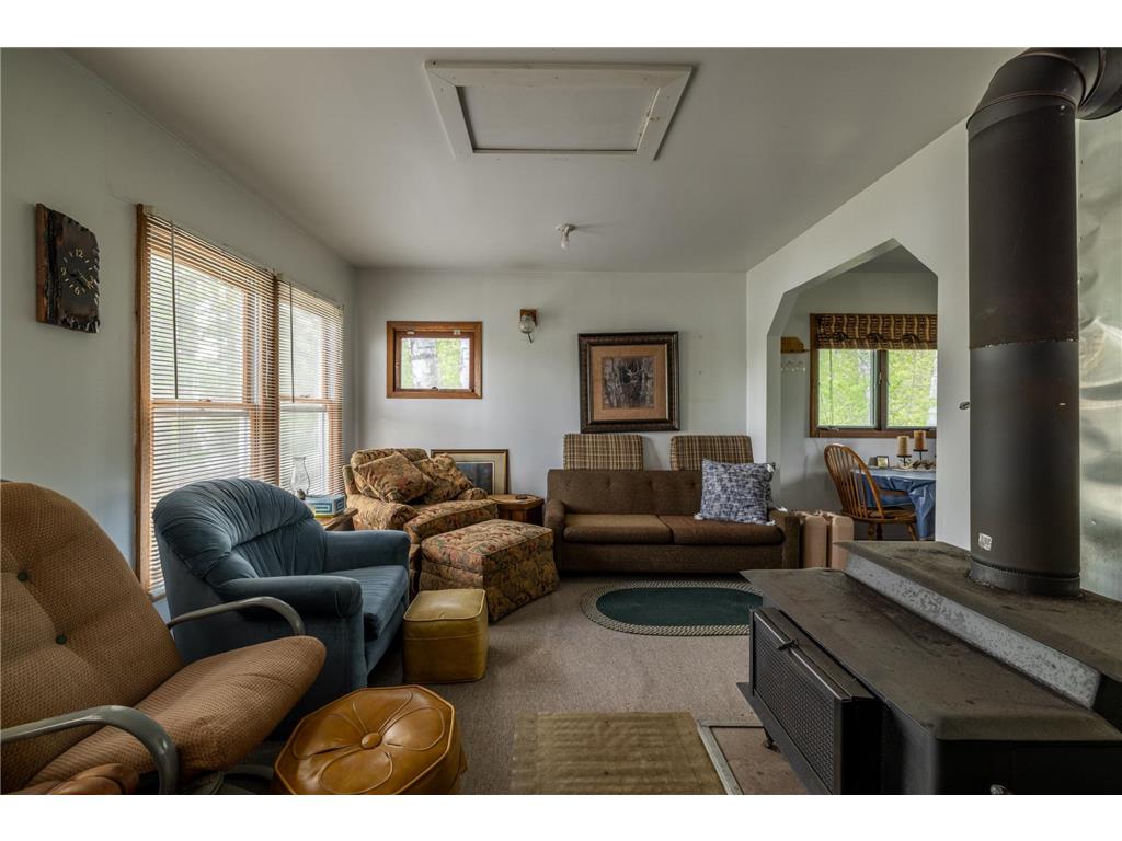16504 280th Street Park Rapids MN 56470 - SKUNK 7065091 image8