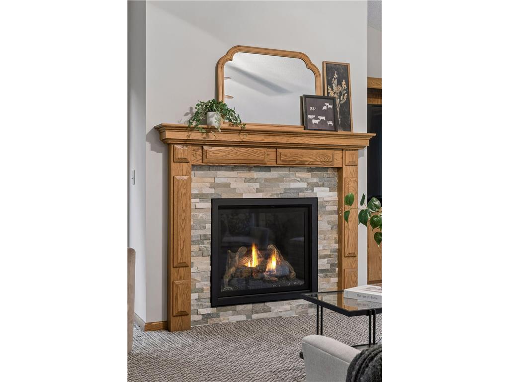 16528 Ward Lake Drive NW Andover MN 55304 7095673 image21