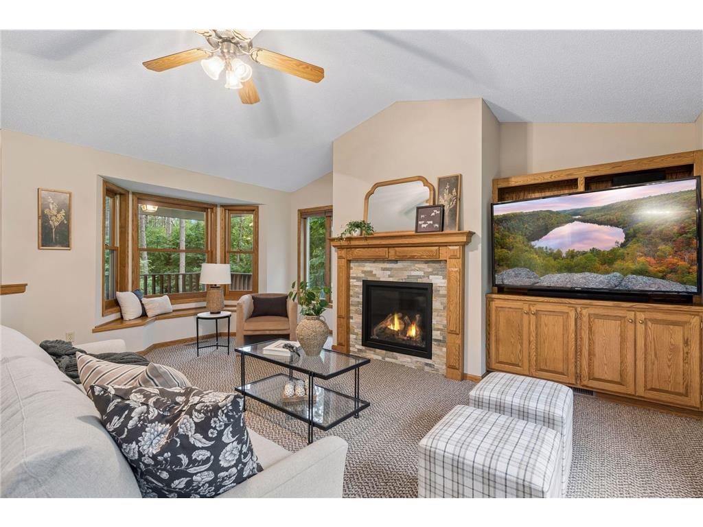 16528 Ward Lake Drive NW Andover MN 55304 7095673 image23