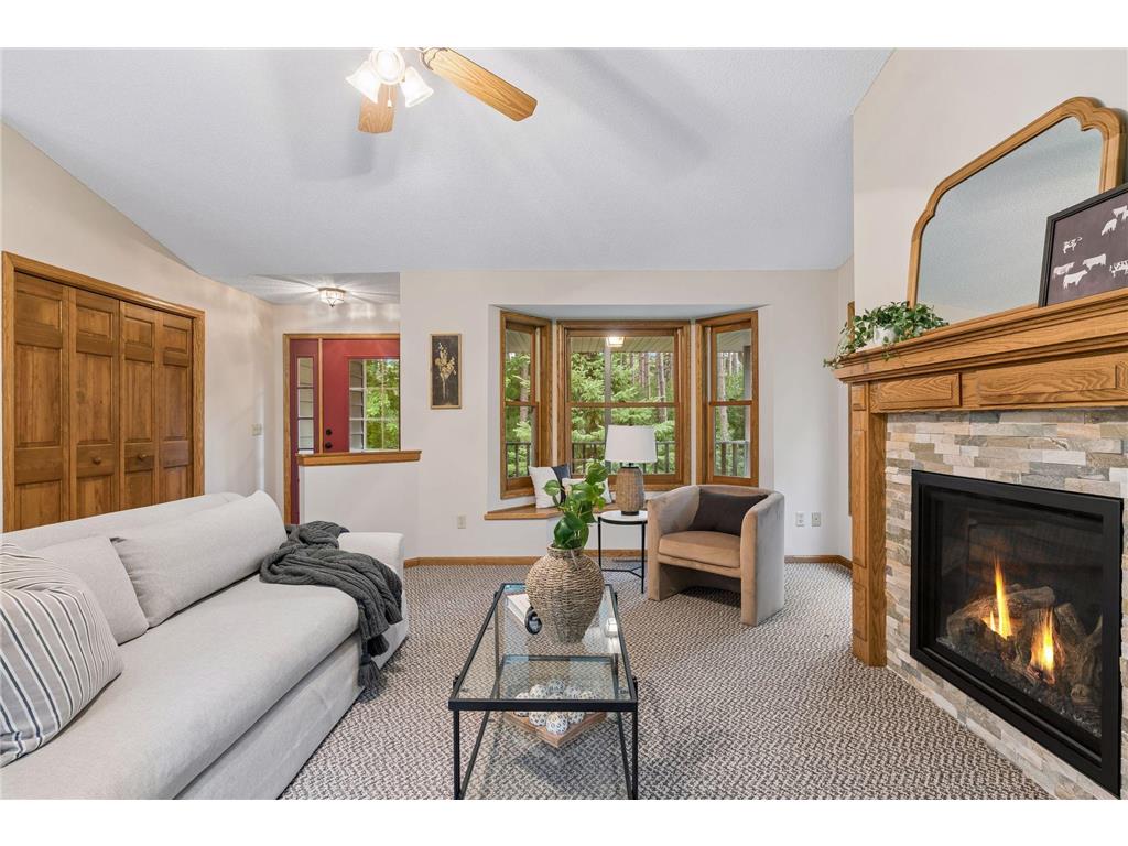 16528 Ward Lake Drive NW Andover MN 55304 7095673 image24