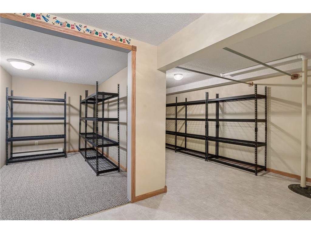 16528 Ward Lake Drive NW Andover MN 55304 7095673 image46