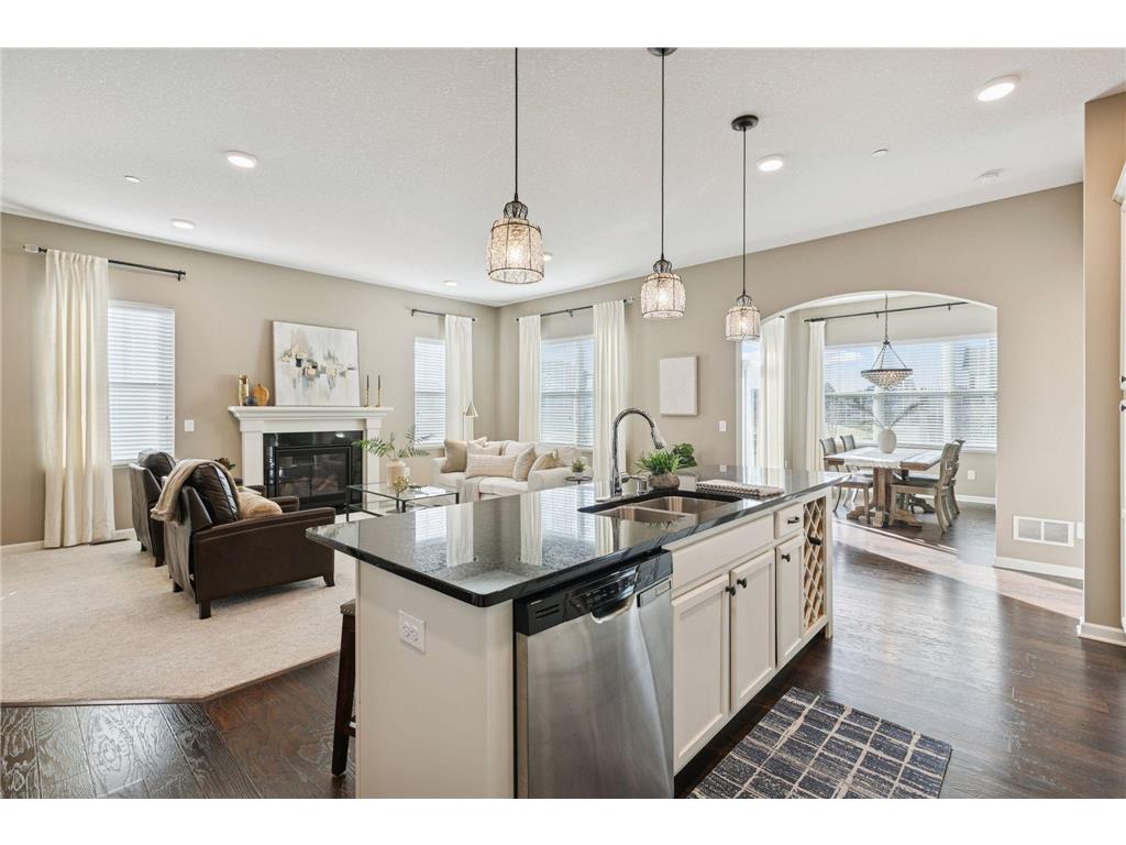 16529 Diamonte Path Lakeville MN 55044 6809698 image16