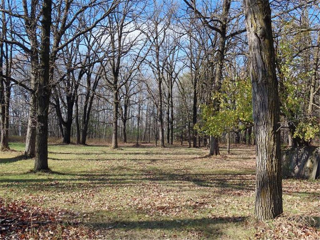 16533 180th Street SE Gervais Twp MN 56750 6810258 image42