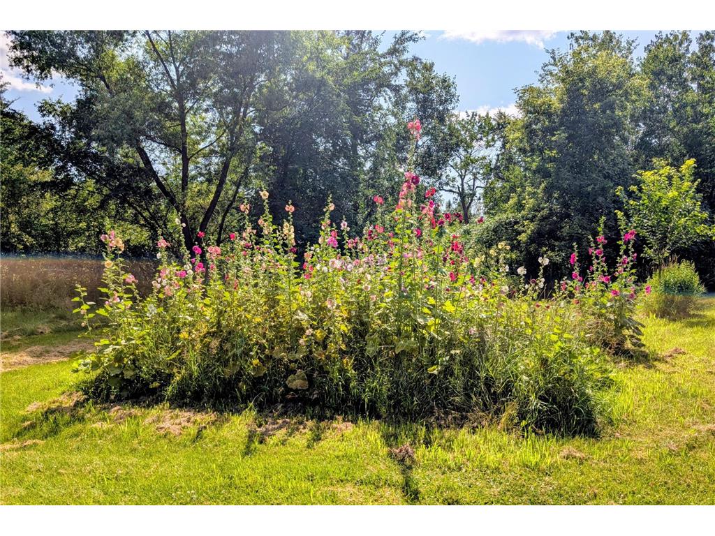 16551 241st Avenue Long Prairie MN 56347 7115685 image41