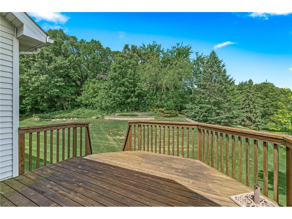16568 Irwindale Way Lakeville MN 55044 7083292 image46