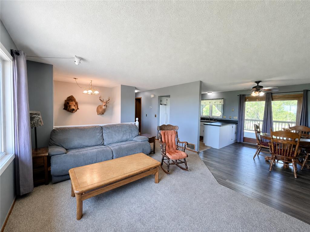 1658 231st Street Lake Sarah Twp MN 56132 7079024 image11