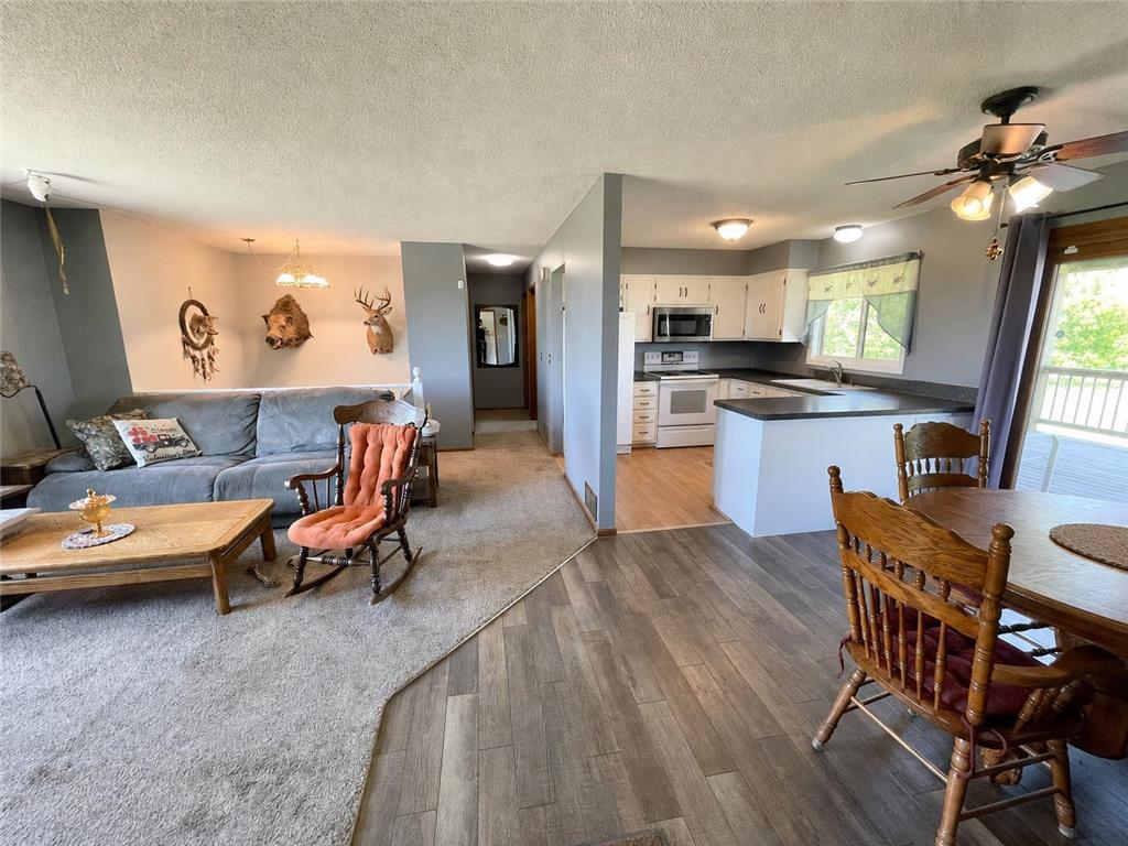 1658 231st Street Lake Sarah Twp MN 56132 7079024 image12