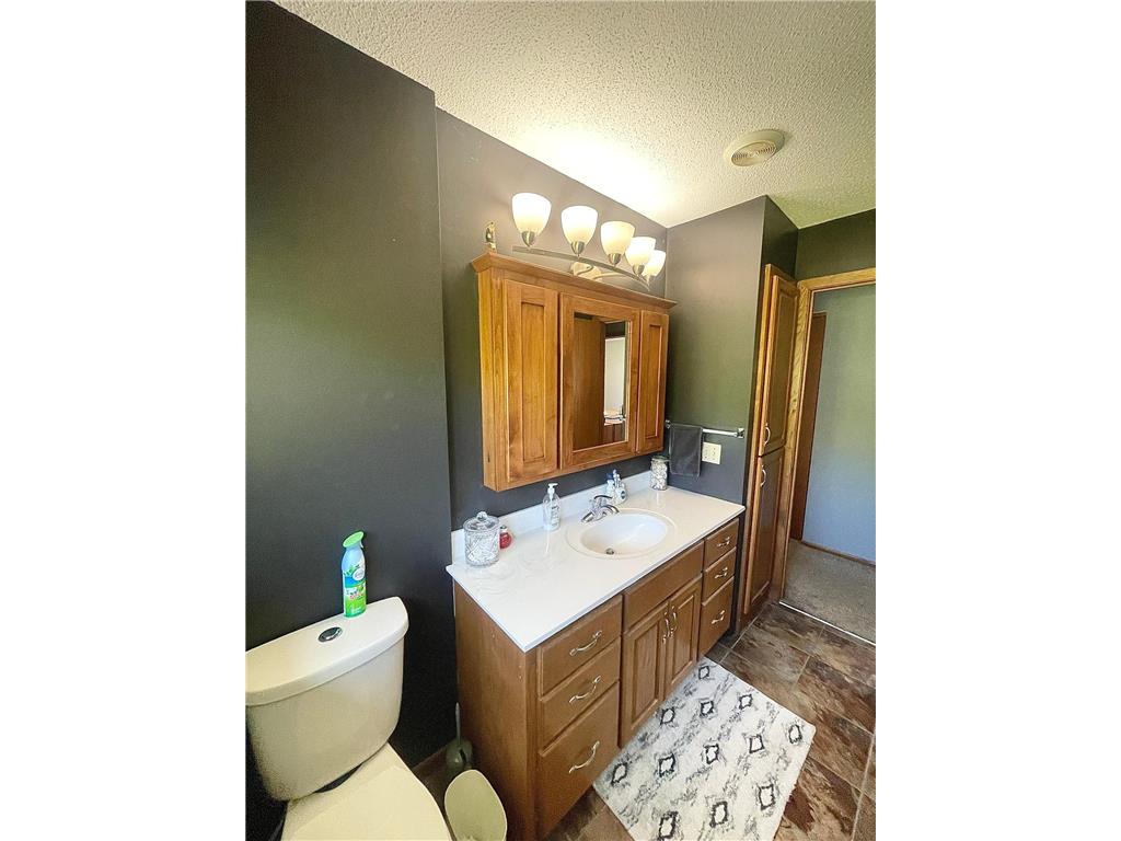 1658 231st Street Lake Sarah Twp MN 56132 7079024 image21