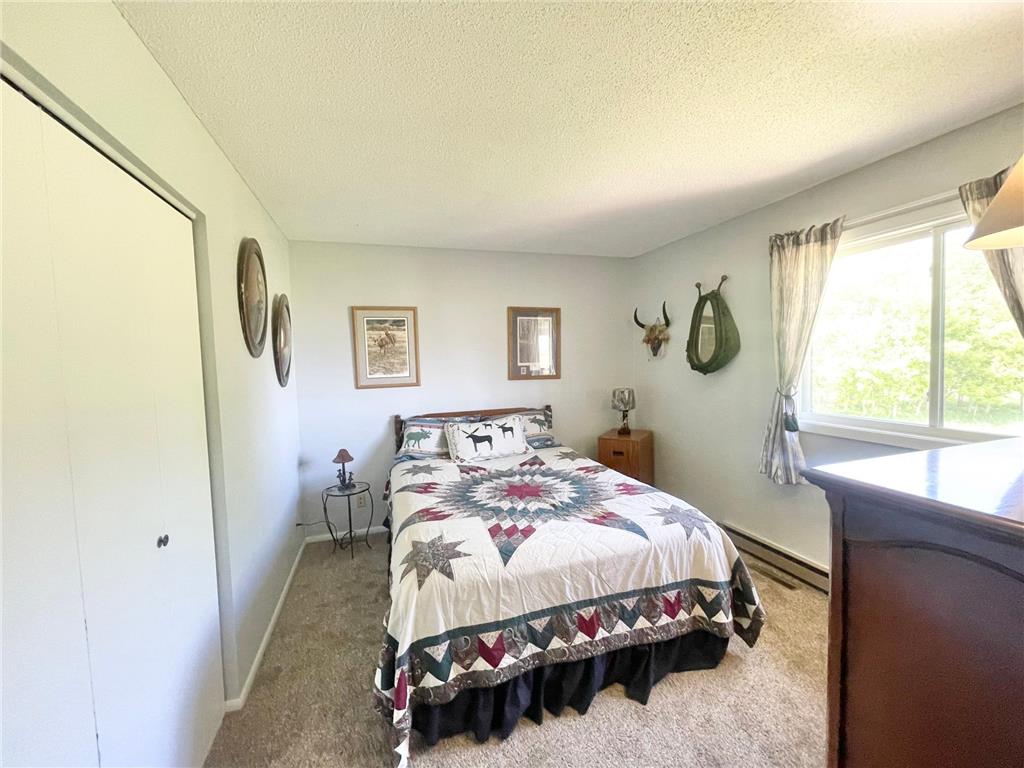 1658 231st Street Lake Sarah Twp MN 56132 7079024 image22