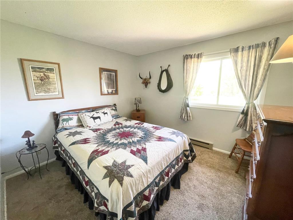 1658 231st Street Lake Sarah Twp MN 56132 7079024 image23