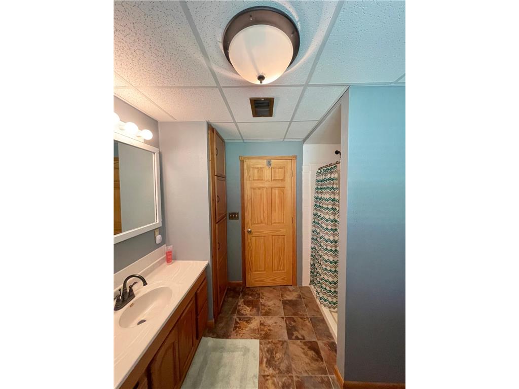 1658 231st Street Lake Sarah Twp MN 56132 7079024 image34