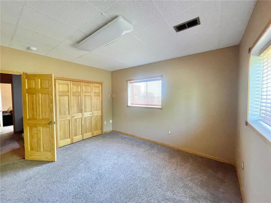 1658 231st Street Lake Sarah Twp MN 56132 7079024 image35