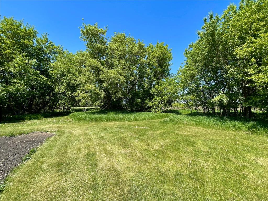 1658 231st Street Lake Sarah Twp MN 56132 7079024 image43
