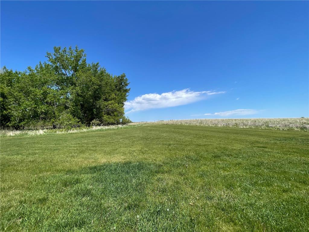 1658 231st Street Lake Sarah Twp MN 56132 7079024 image47