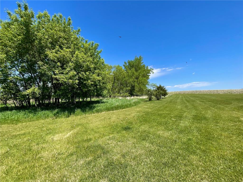 1658 231st Street Lake Sarah Twp MN 56132 7079024 image48