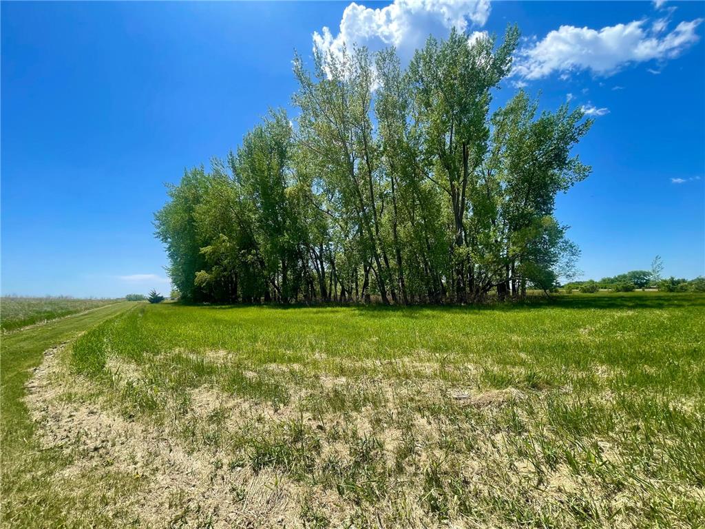 1658 231st Street Lake Sarah Twp MN 56132 7079024 image51