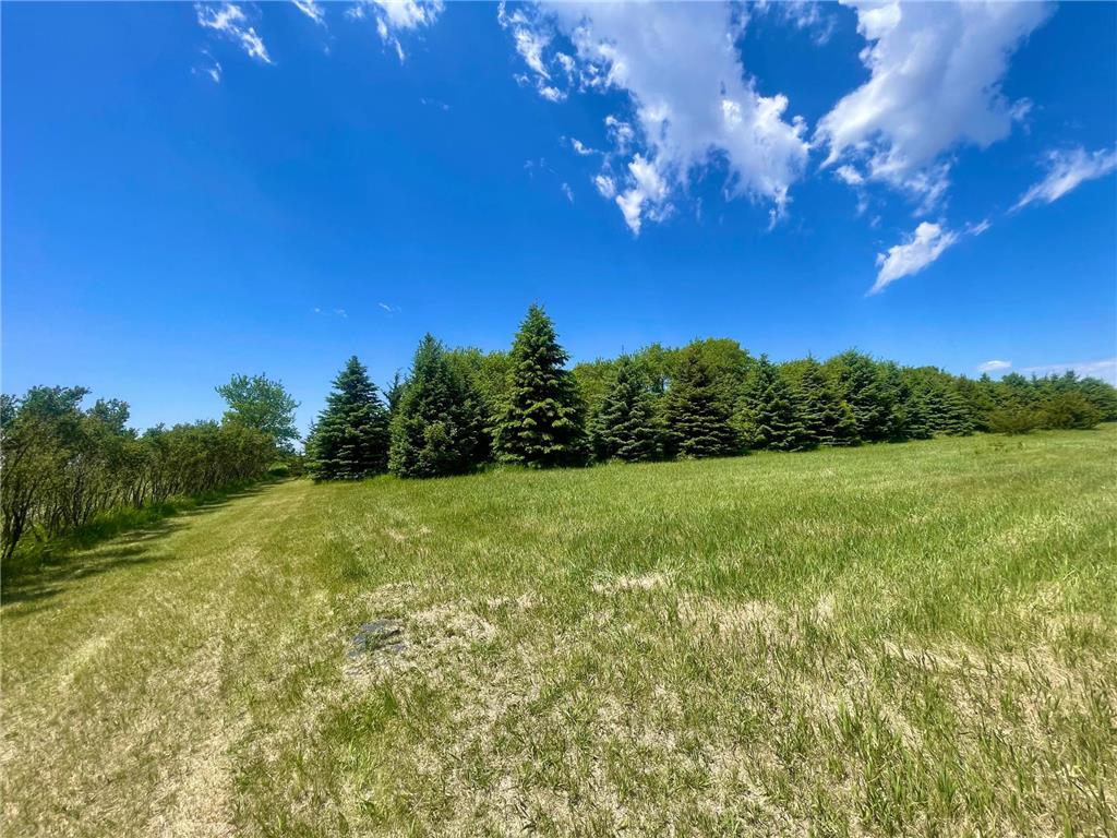1658 231st Street Lake Sarah Twp MN 56132 7079024 image53