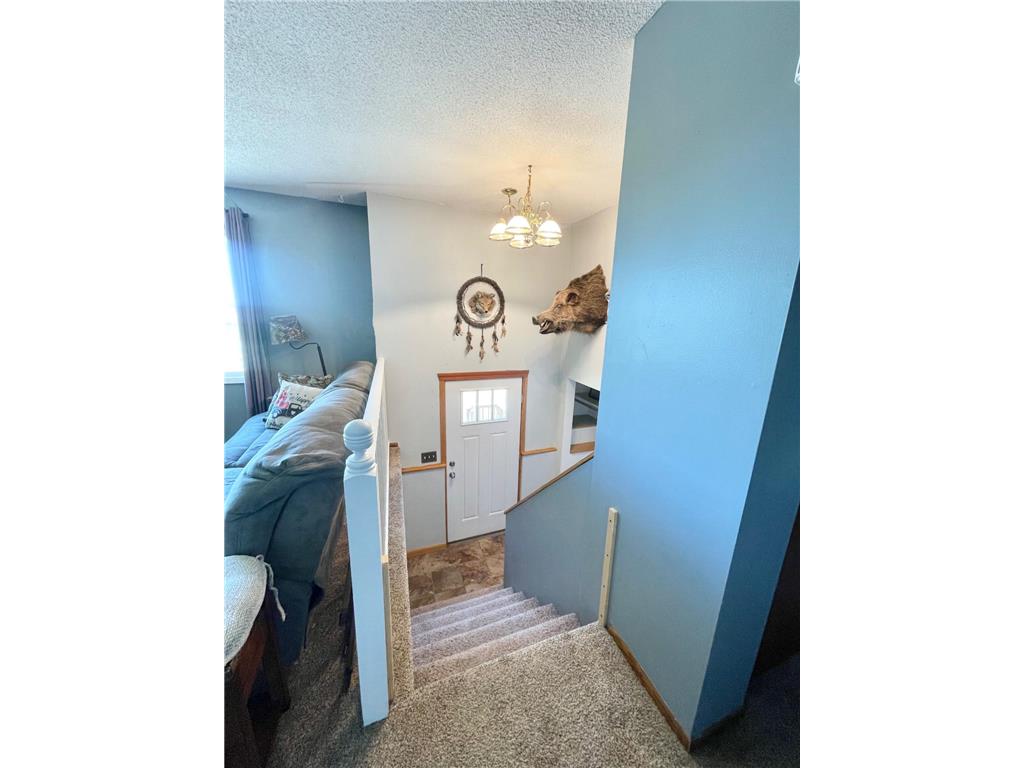 1658 231st Street Lake Sarah Twp MN 56132 7079024 image9