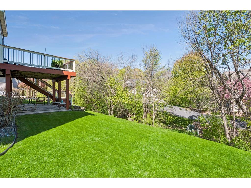 16586 73rd Avenue N Maple Grove MN 55311 7069052 image45