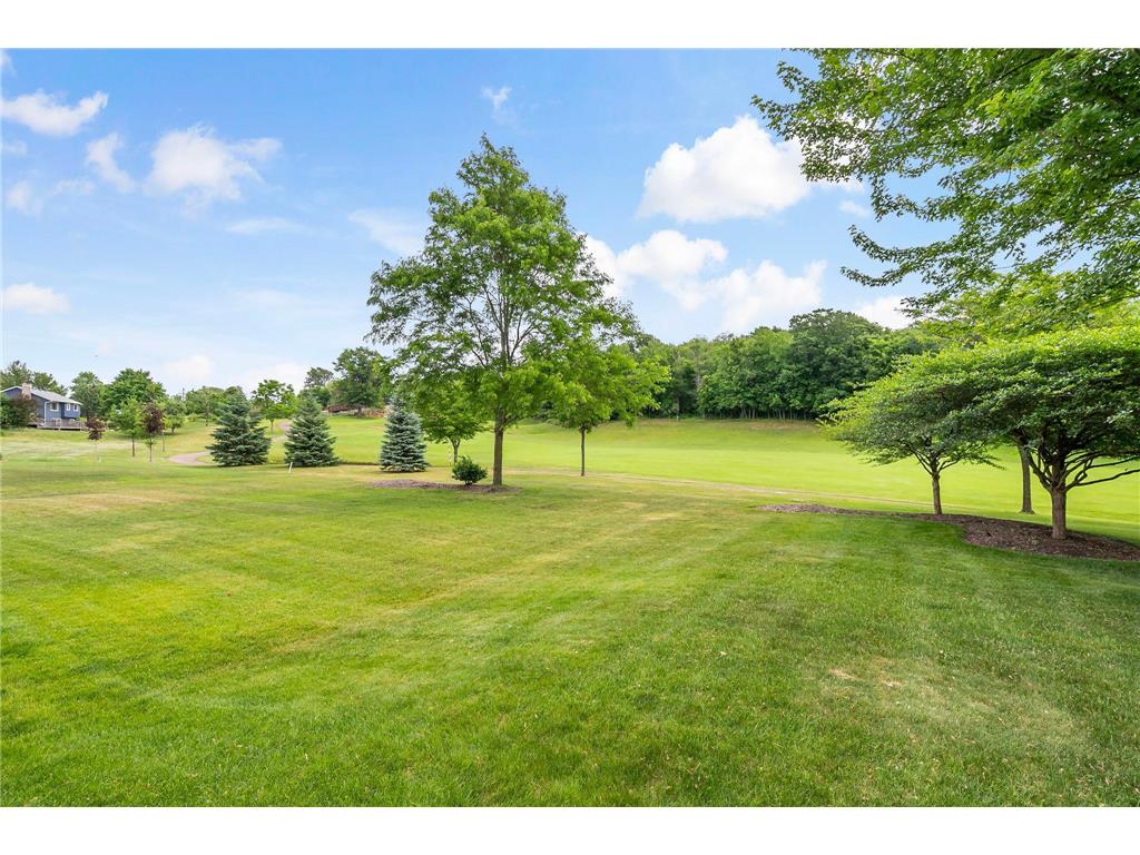 16599 Imperial Court Lakeville MN 55044 7090133 image4