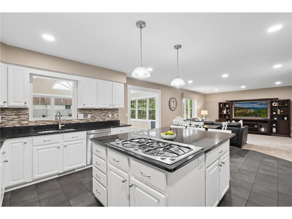 16605 43rd Avenue N Plymouth MN 55446 7072099 image13