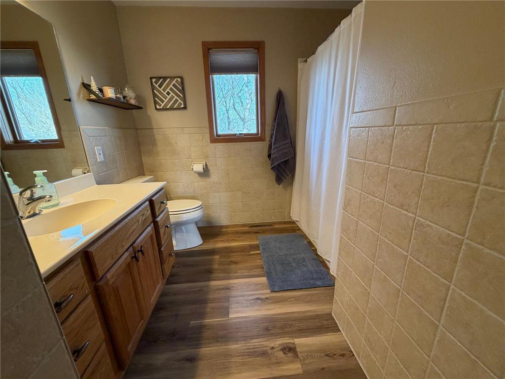 16612 670th Avenue Alden MN 56009 7047441 image17