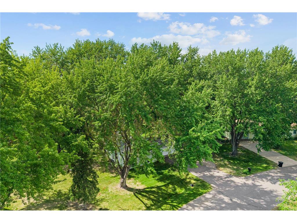 16612 Mankato Street NE Ham Lake MN 55304 7081023 image43