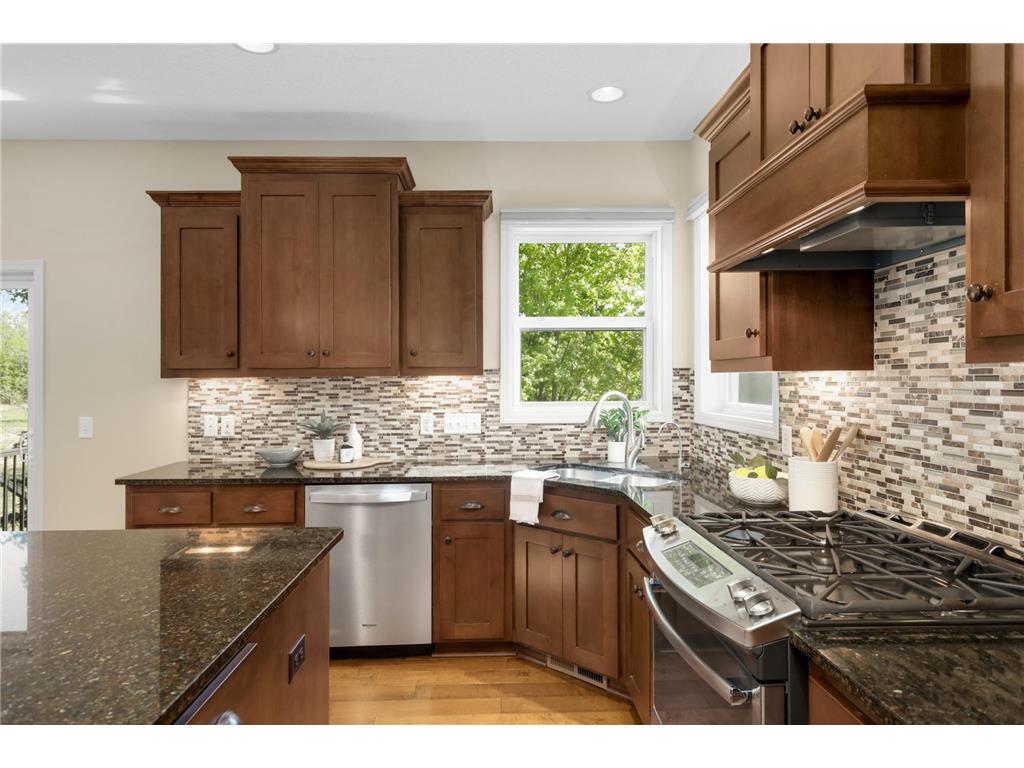 16615 52nd Avenue N Plymouth MN 55446 7050297 image19