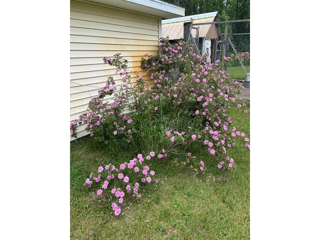 1662 County 7 NE Longville MN 56655 6818688 image52