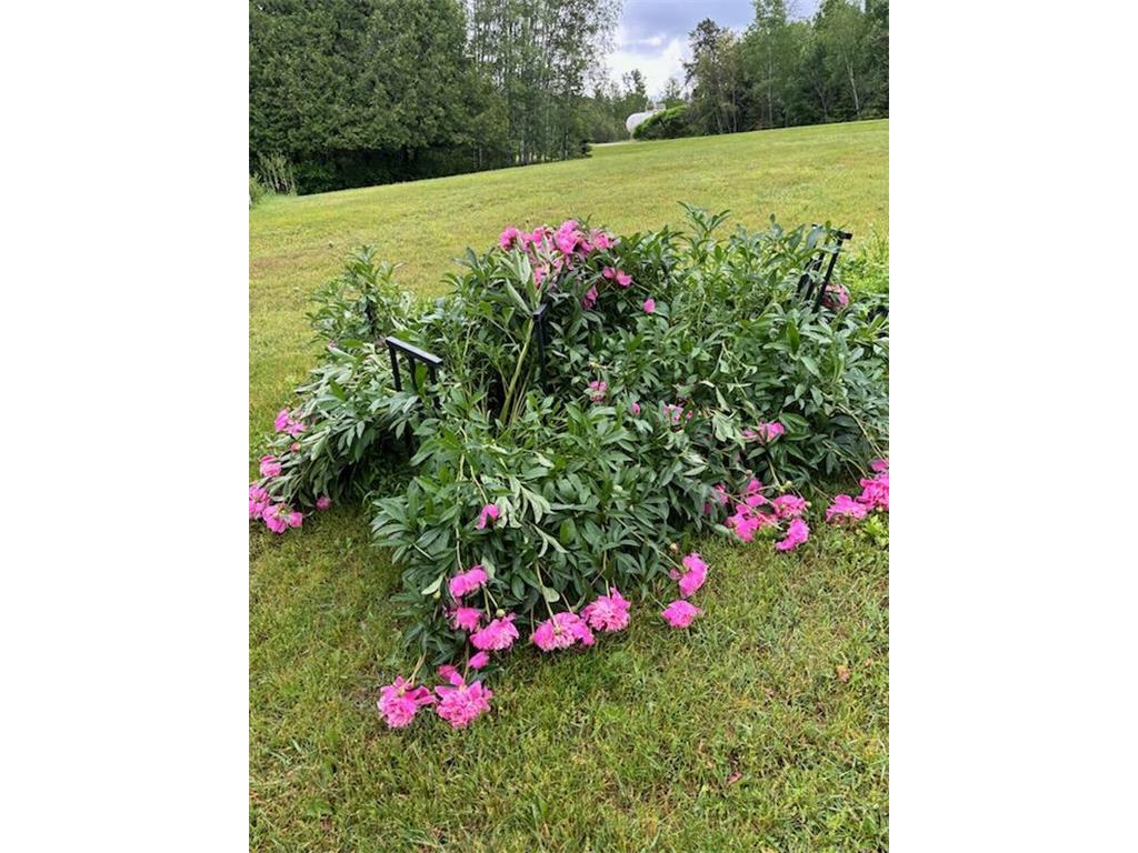 1662 County 7 NE Longville MN 56655 6818688 image54