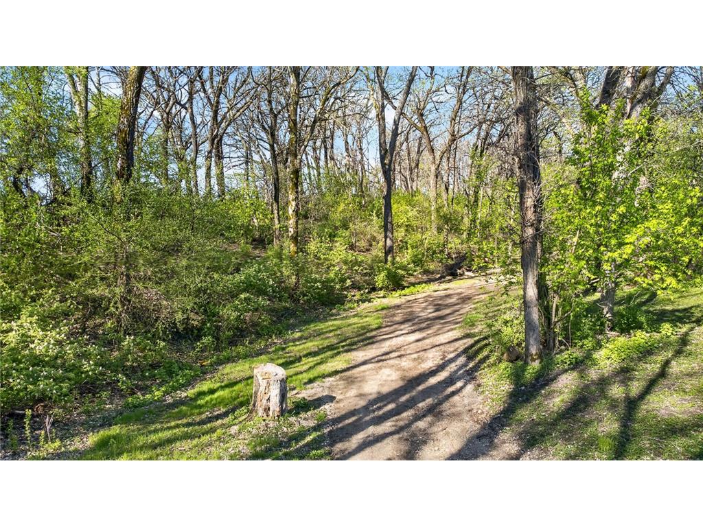 16628 County 14 Spring Valley MN 55975 7065986 image21
