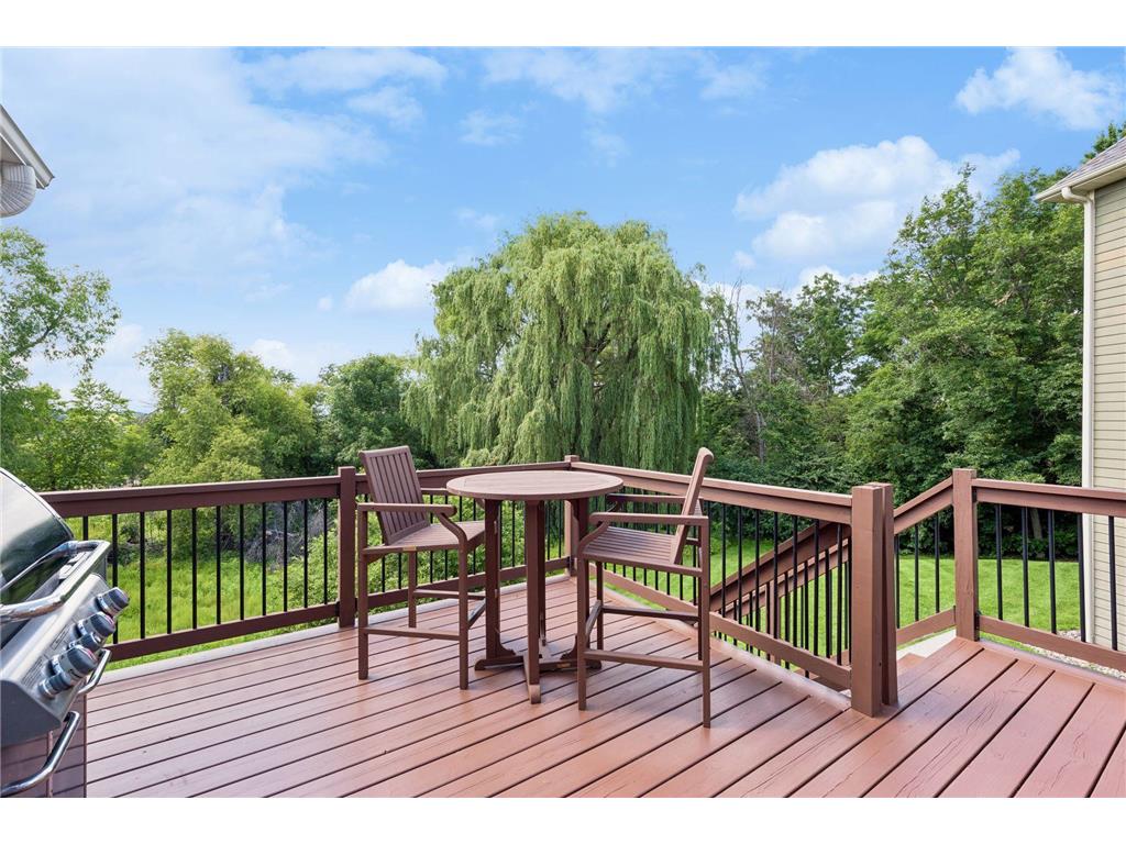 16630 54th Court N Plymouth MN 55446 7101433 image68