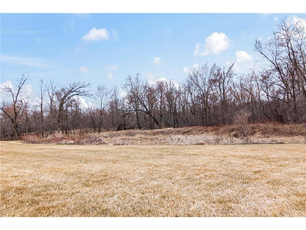 16642 Avocet Street NW Andover MN 55304 7053956 image4