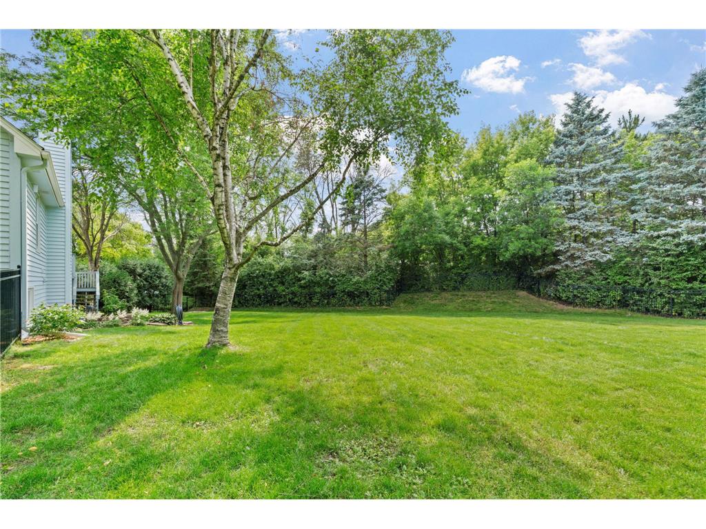 16645 21st Avenue N Plymouth MN 55447 7080312 image33