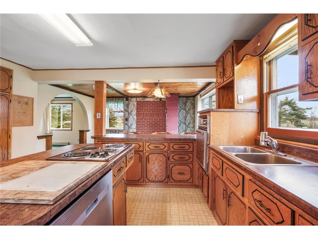 1667 210th Avenue Arthur Twp MN 55051 - Ann River 7070571 image17