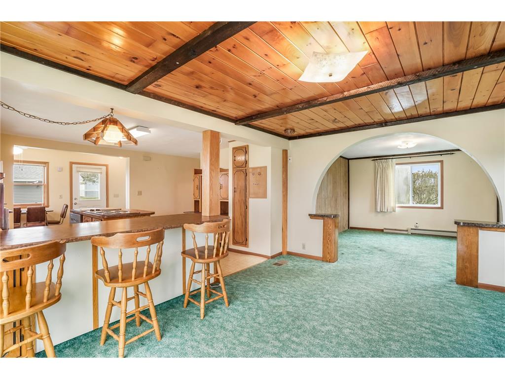 1667 210th Avenue Arthur Twp MN 55051 - Ann River 7070571 image23