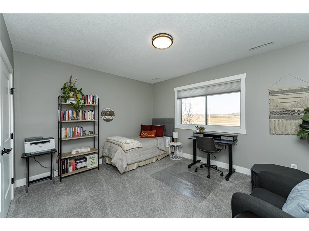 1667 Brandt Drive NE Byron MN 55920 6817552 image33