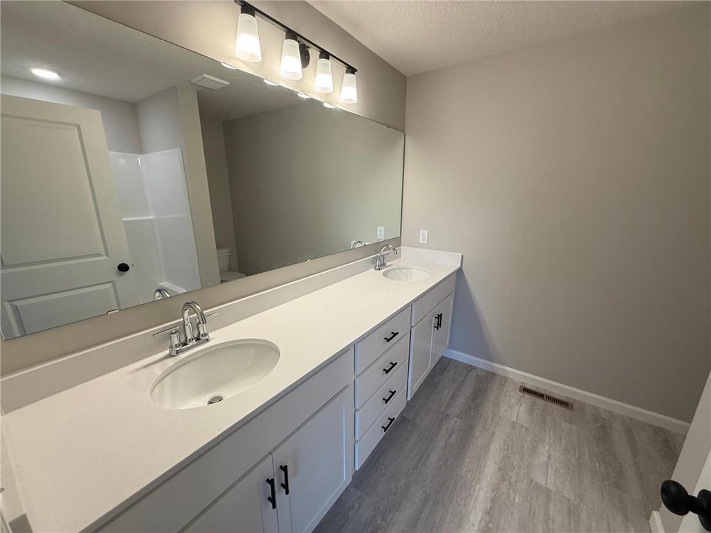 1667 Meadows Drive East Bethel MN 55011 7086137 image25