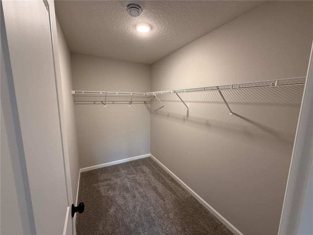 1667 Meadows Drive East Bethel MN 55011 7086137 image32