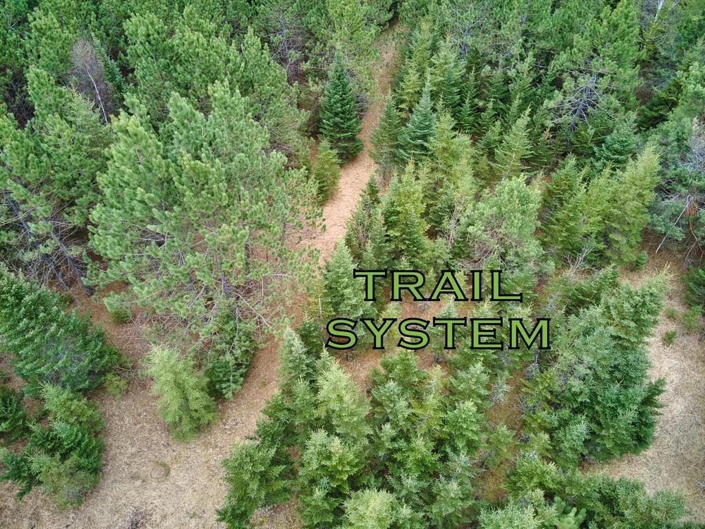 16677 Shallow Lake Road Warba MN 55793 7067107 image33