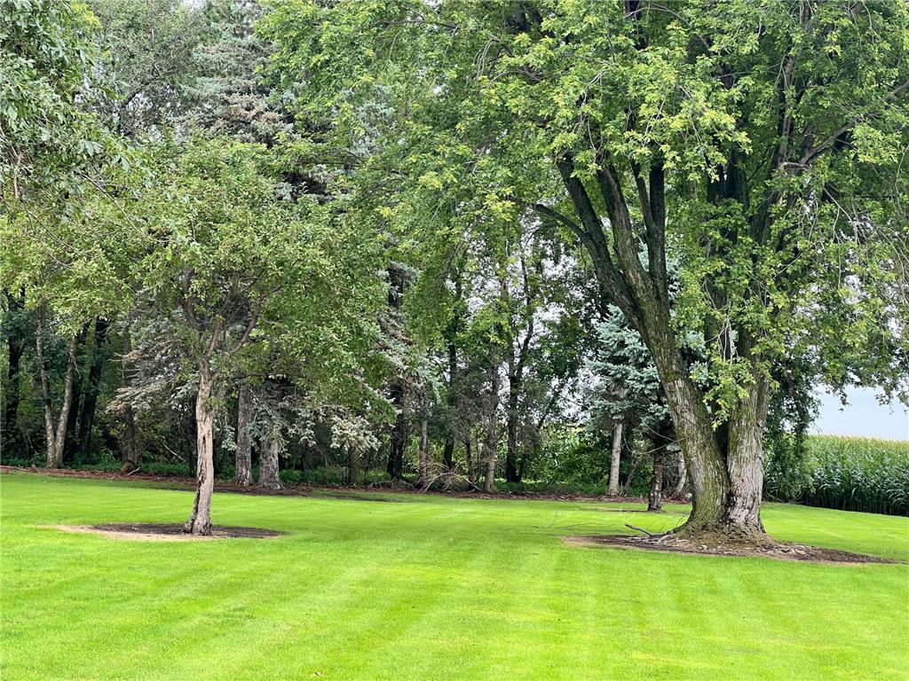 1669 211th Avenue Madison MN 56256 6776308 image7