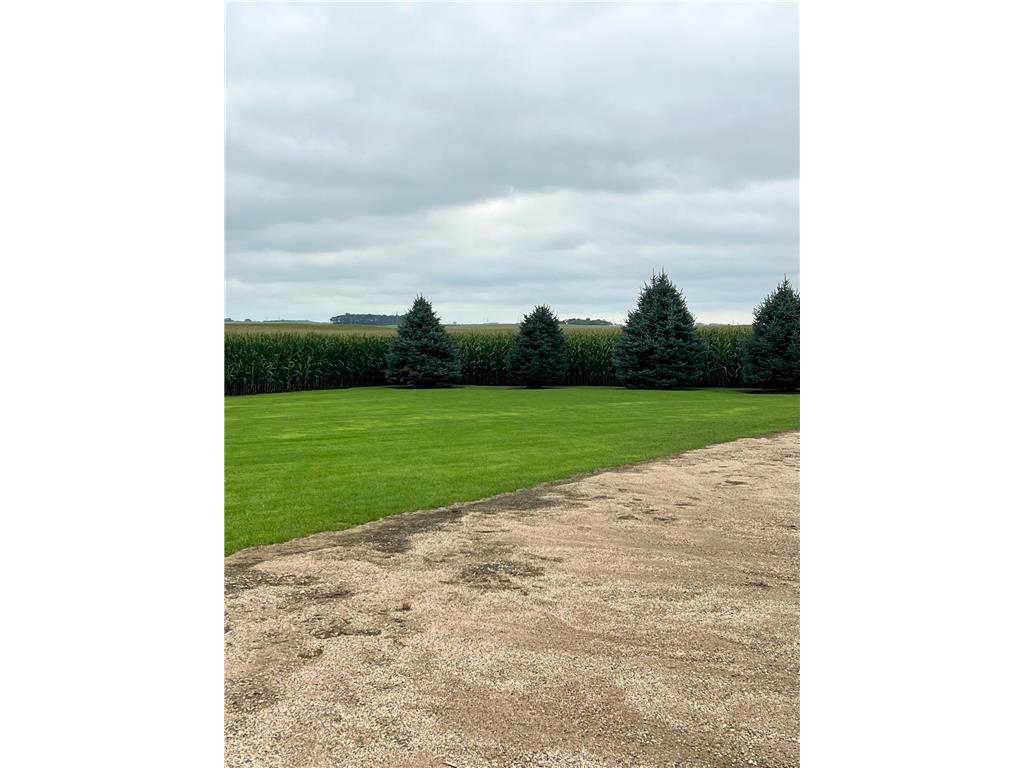 1669 211th Avenue Madison MN 56256 6776308 image9